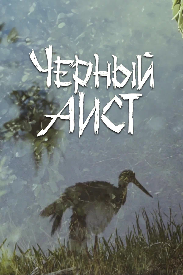 Черный аист